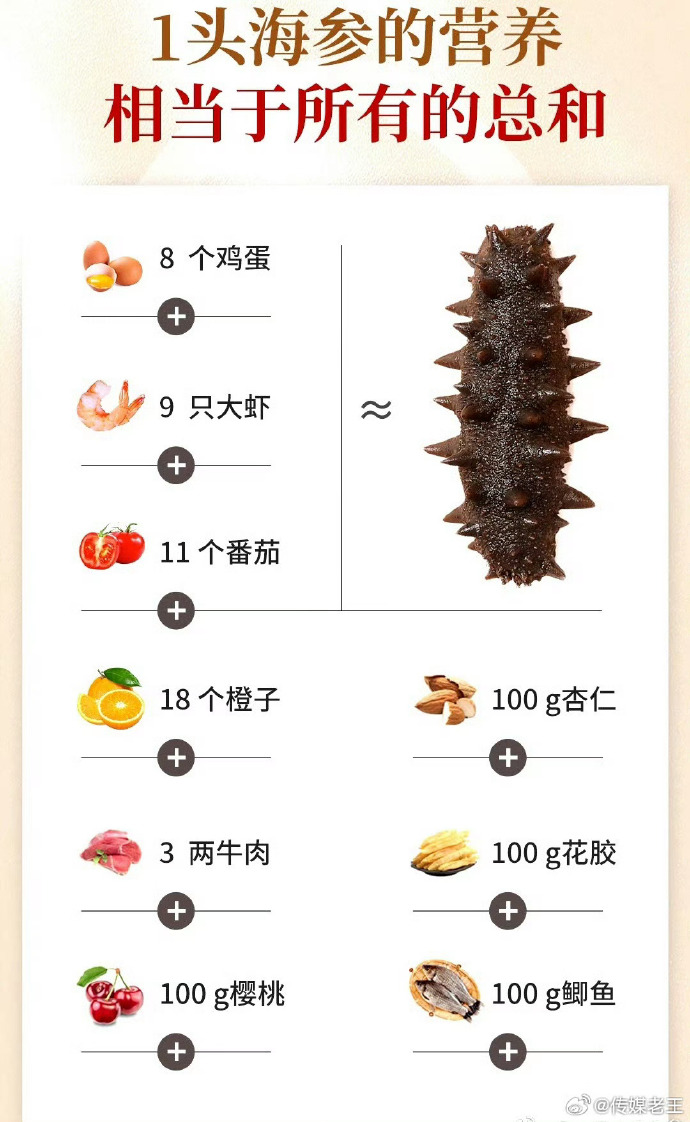 最新海参价格表，探索海参之旅，友情与陪伴的价值体现