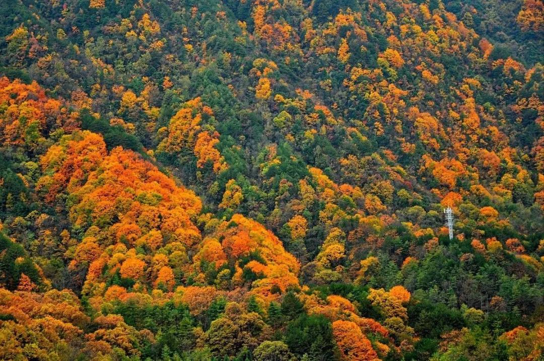 光雾山自然美景探索与内心平静的追寻，最新旅游攻略指南