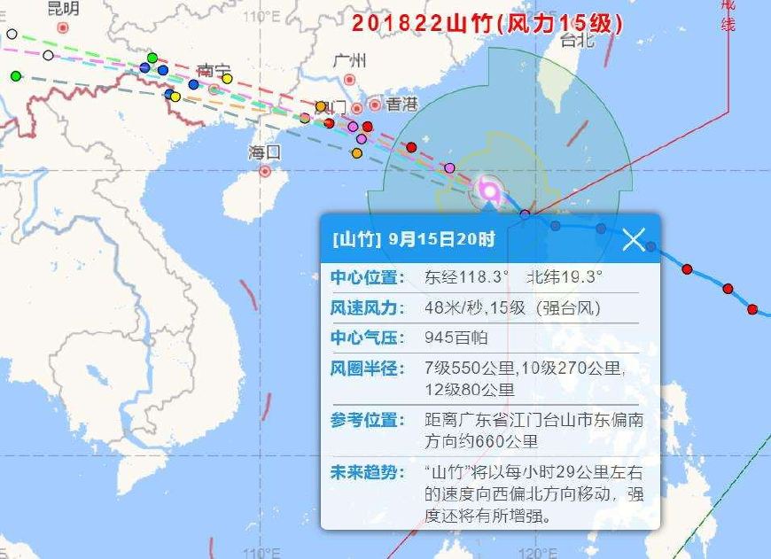 台风下的温馨故事与守护，风雨中的欢笑与感动