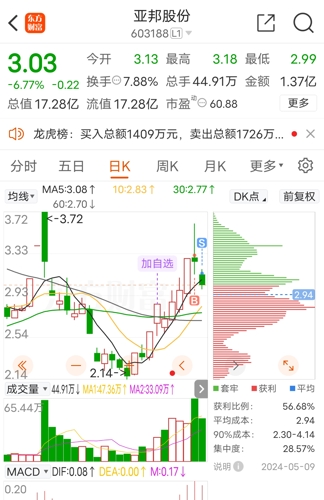 亚邦股份最新动态，小巷深处的独特发现