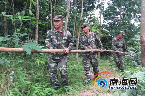 陵水台风最新动态，影响及分析观点