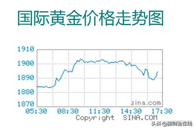 黄金价格最新动态，市场波动与趋势分析